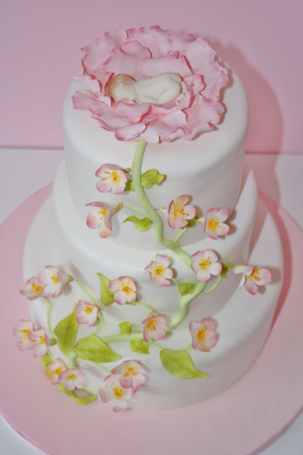 Baby Shower Cakes with Flowers