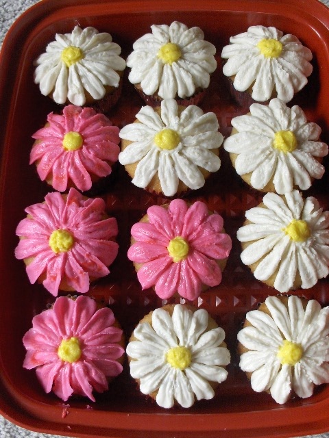 Gerber Daisy Cupcakes