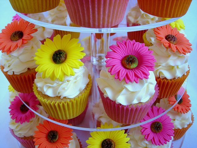 Gerber Daisy Cupcakes