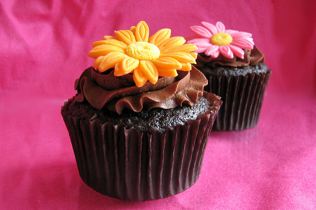 Gerber Daisy Cupcakes