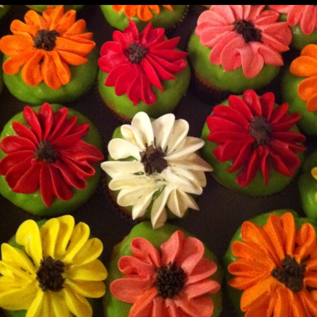 Gerber Daisy Cupcakes