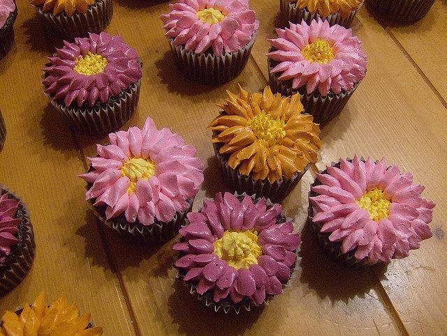 Gerbera Daisy Cupcakes