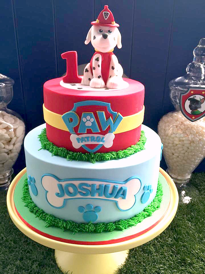 PAW Patrol Birthday Party Cake