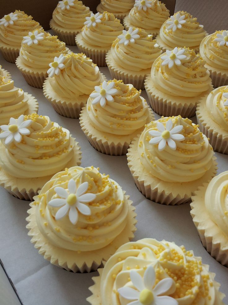 Spring Daisy Cupcakes