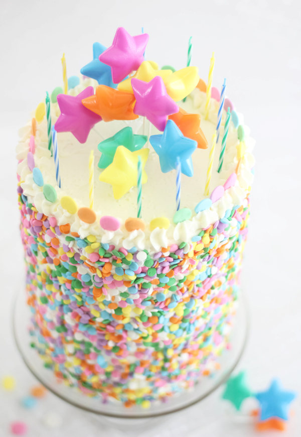 Birthday Cake with Sprinkles