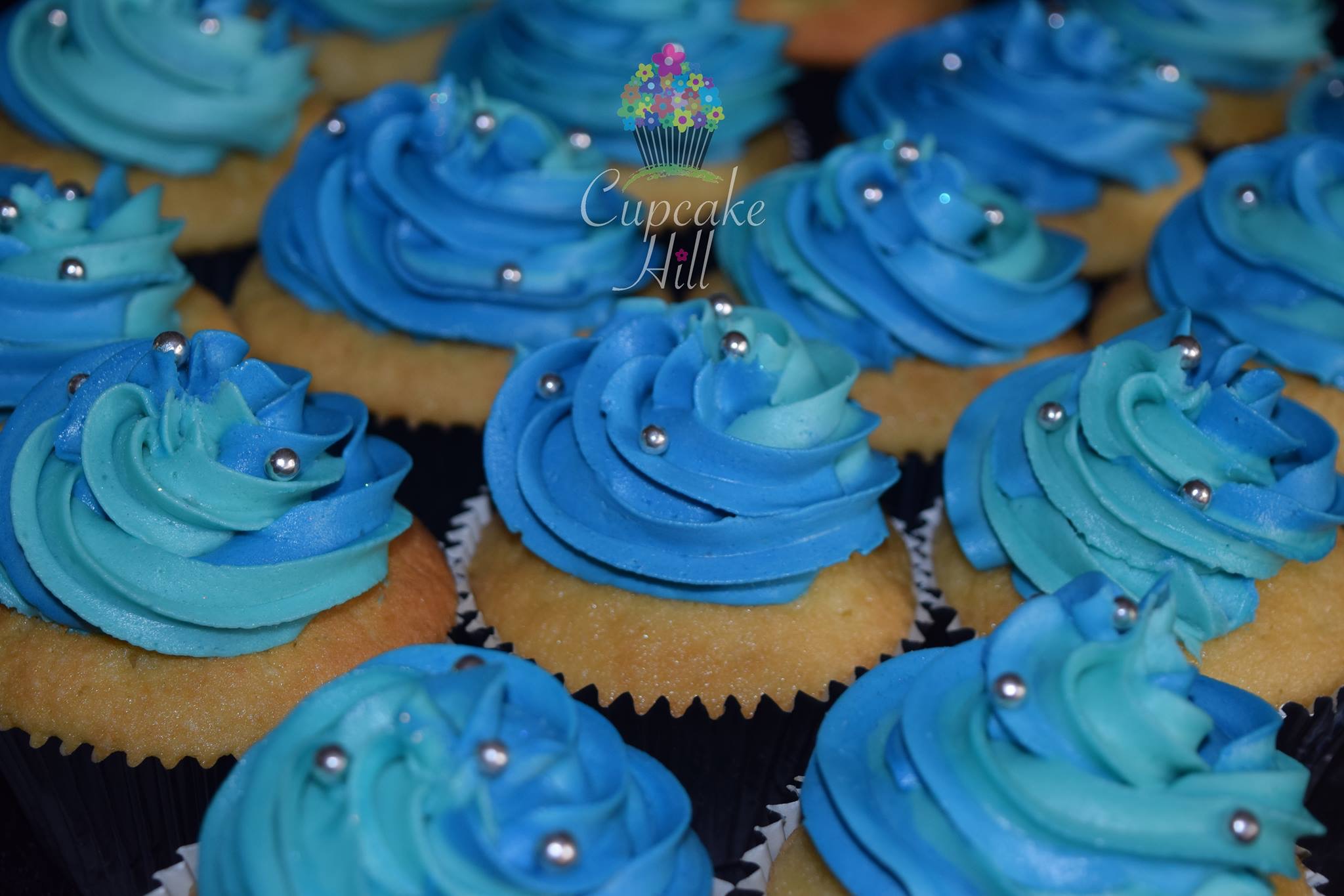 Blue Swirl Cupcakes