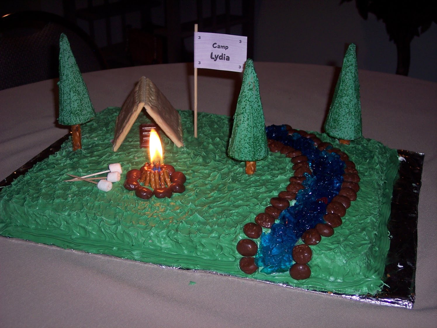 Camping Birthday Cake Ideas