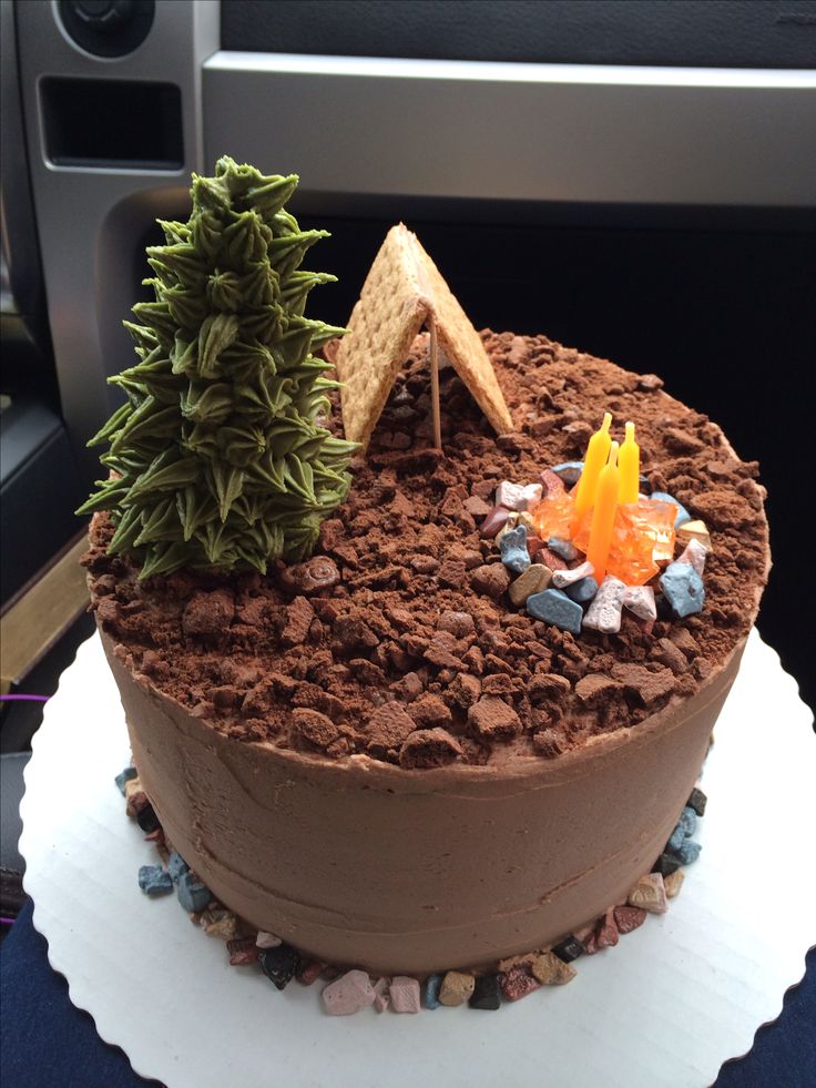 11 Photos of S'more Camping Themed Cakes