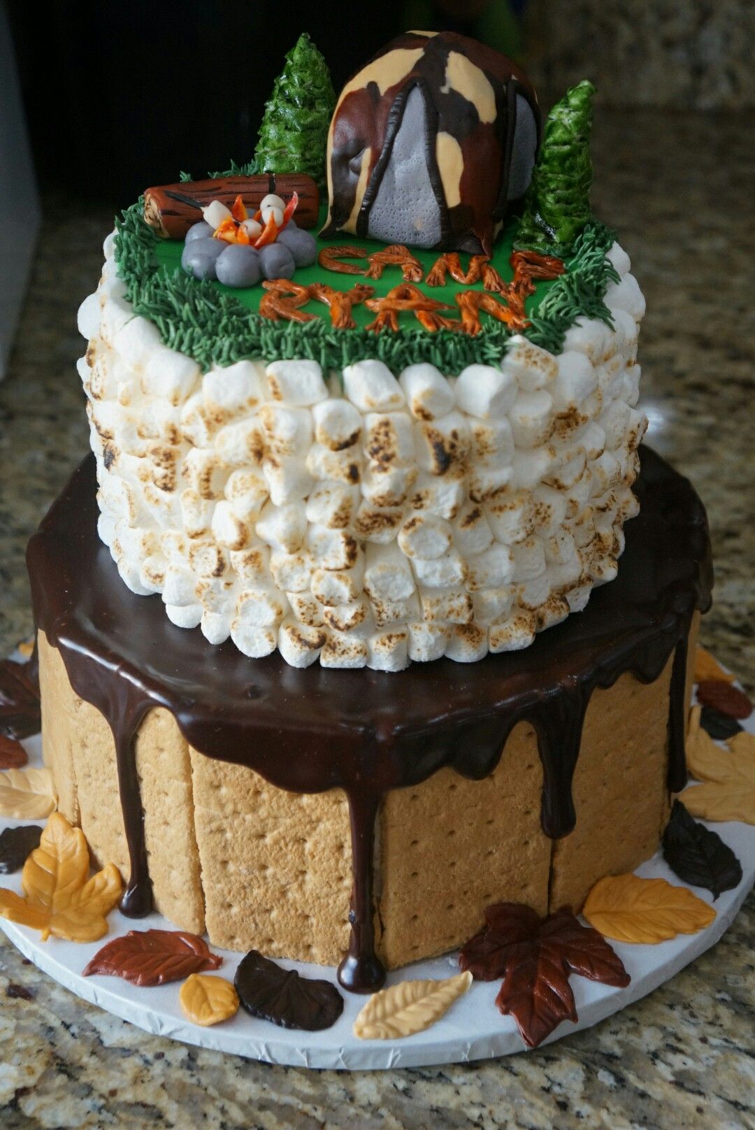 Camping Theme Cake Ideas for Boys