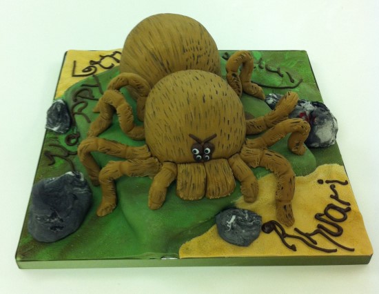 Spider Birthday Cake