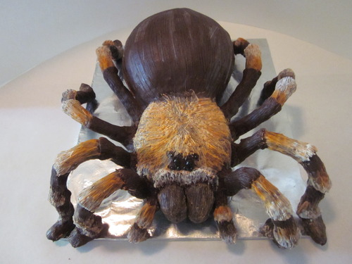 8 Photos of Tarantula Birthday Cakes