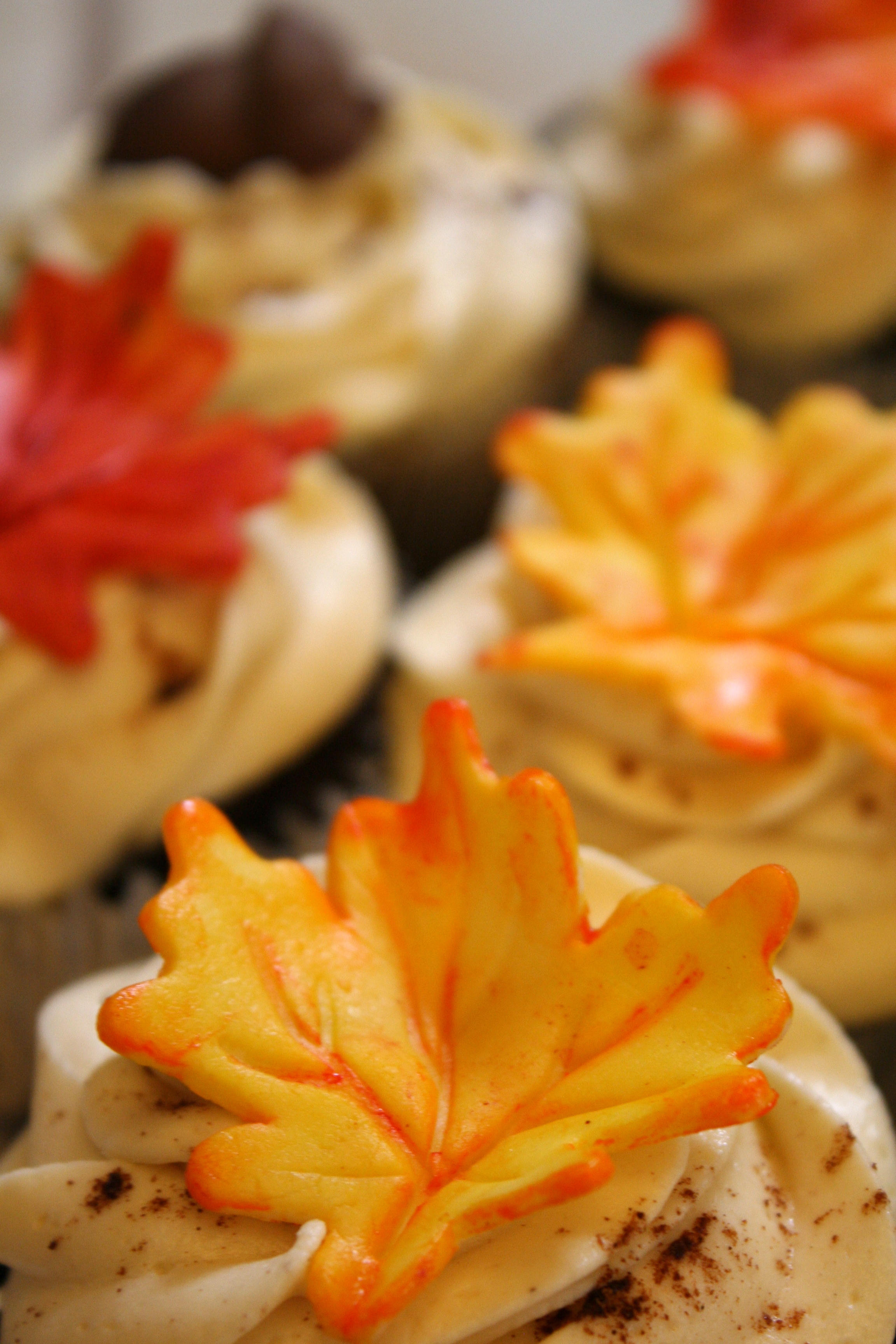 Autumn Leaves Cupcakes Recipe