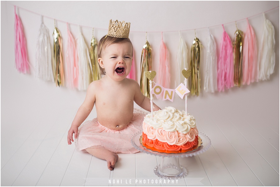 Baby Girl First Birthday Smash Cake