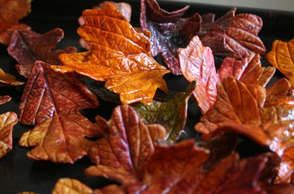 6 Photos of Fall Sugar Leaves For Cakes