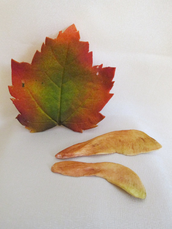 Fall Leaves Cake Decorations Edible