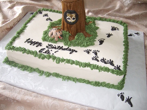 Coon Hunting Birthday Cakes