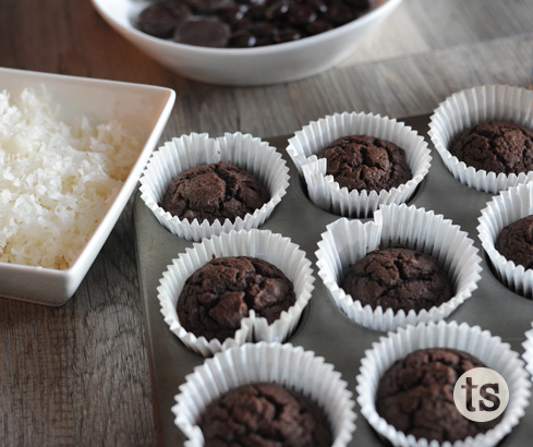 Polar Bear Cupcakes Recipe