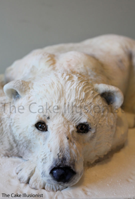 Realistic Animal Cakes