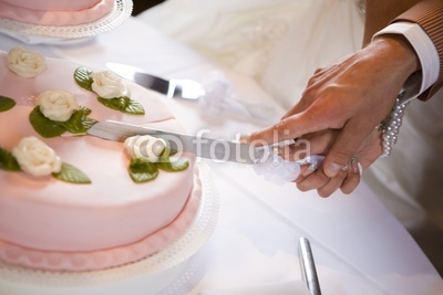 Wedding Cake Cutting