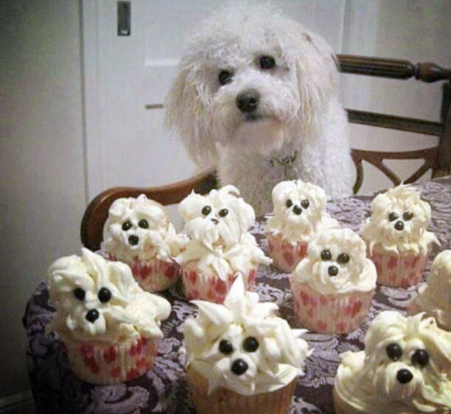 Cupcakes That Look Like Dogs