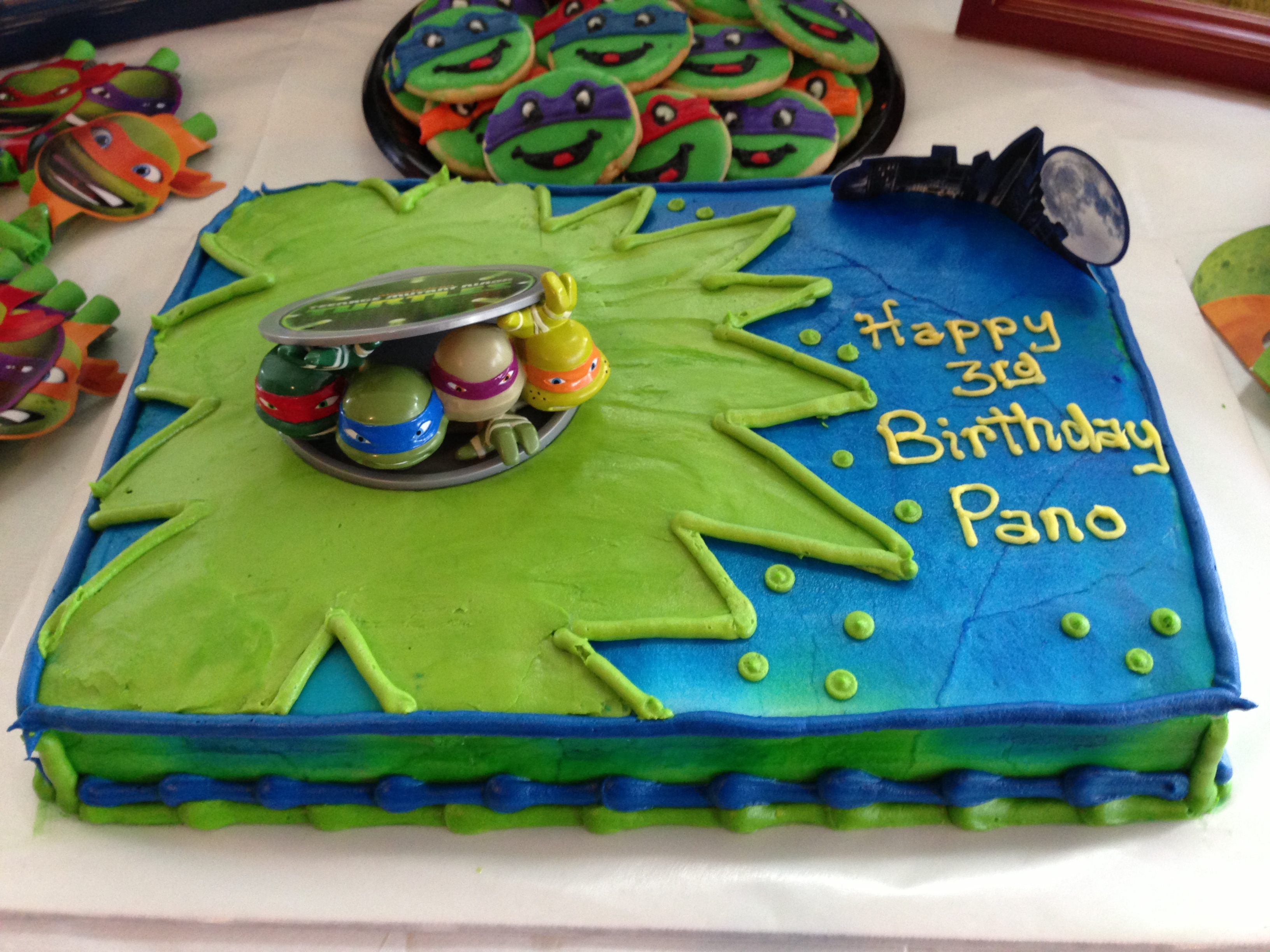 6 Photos of TMNT Birthday Sheet Cakes