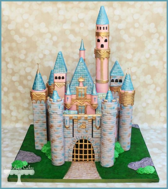 6 Photos of Sleeping Beauty Castle Disney Cakes