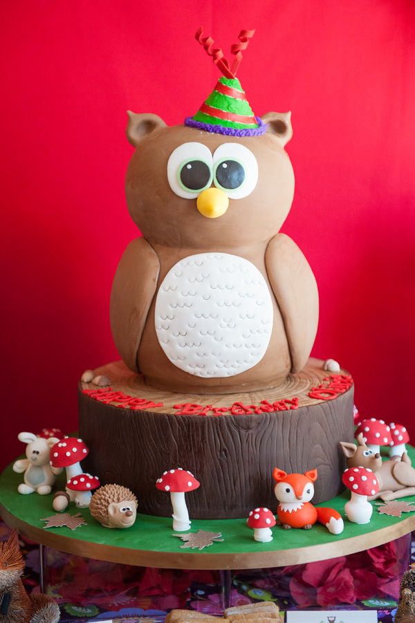 Woodland Owl Birthday Cake