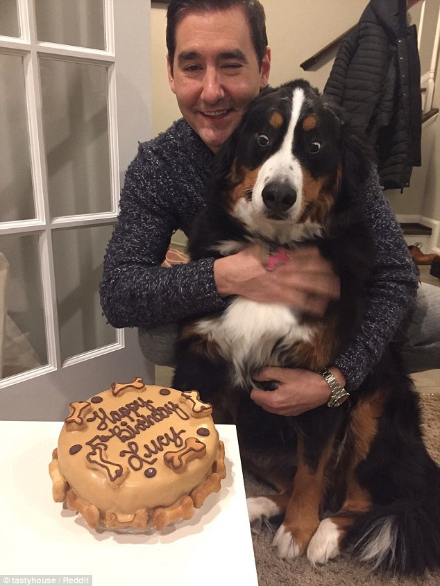 Dog Birthday Cake