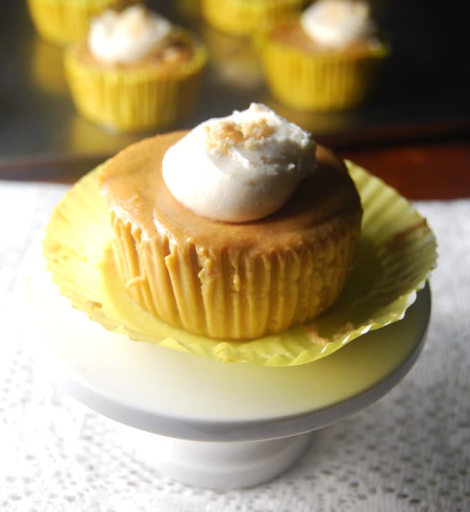 Pumpkin Cheesecake Cupcakes