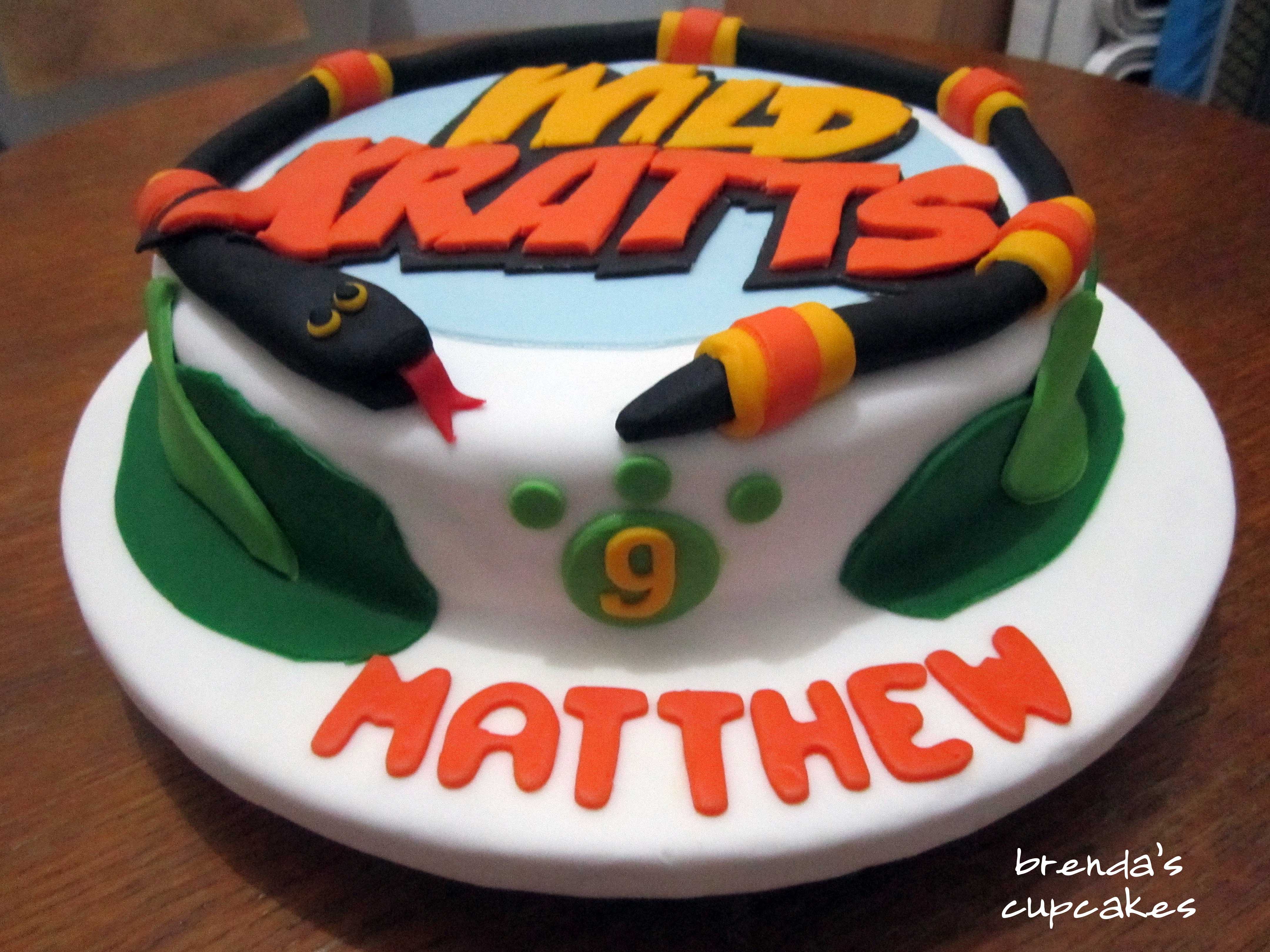 Wild Kratts Birthday Cake