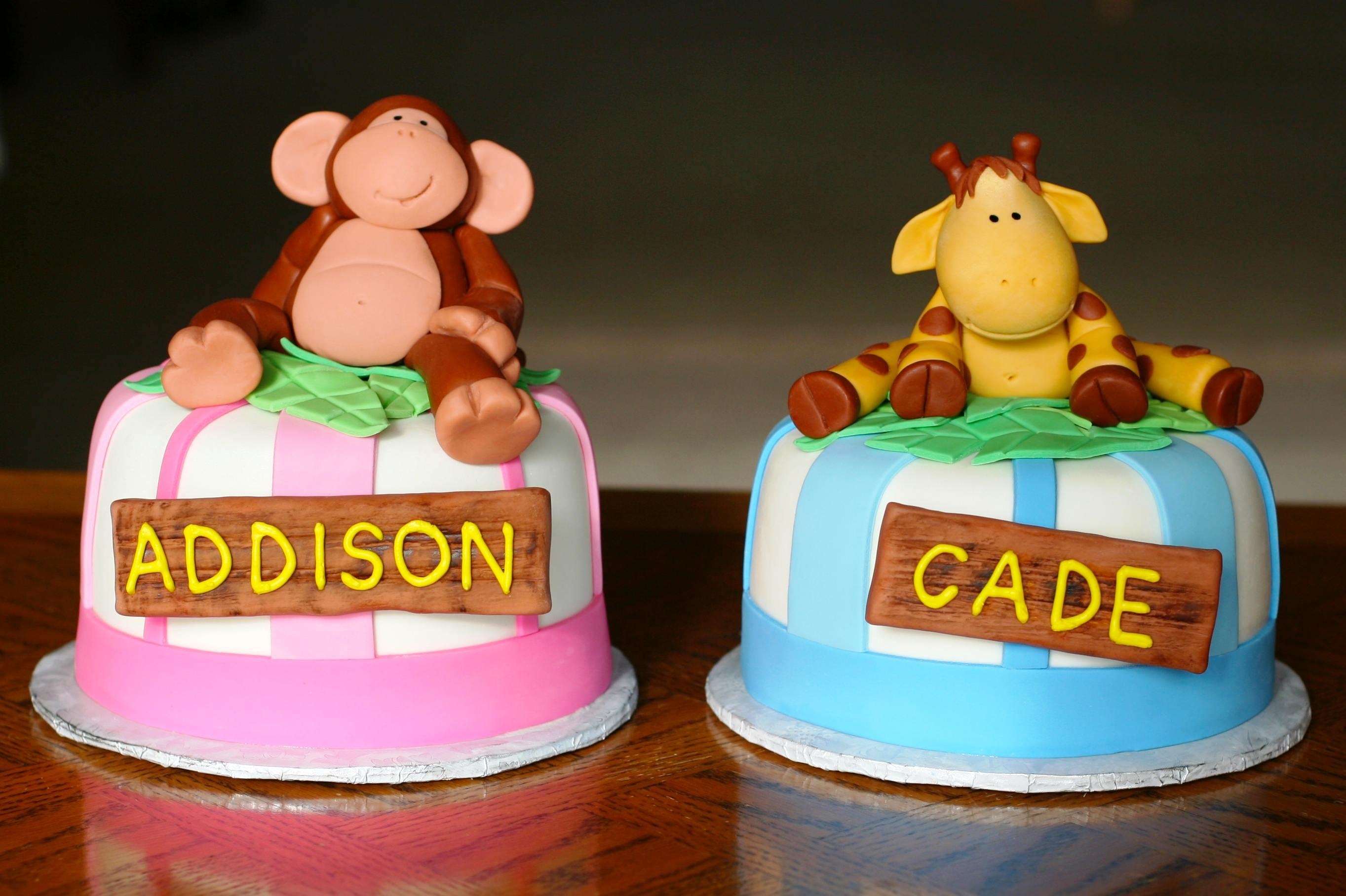 1st Birthday Cake Ideas for Twin Boy Girl