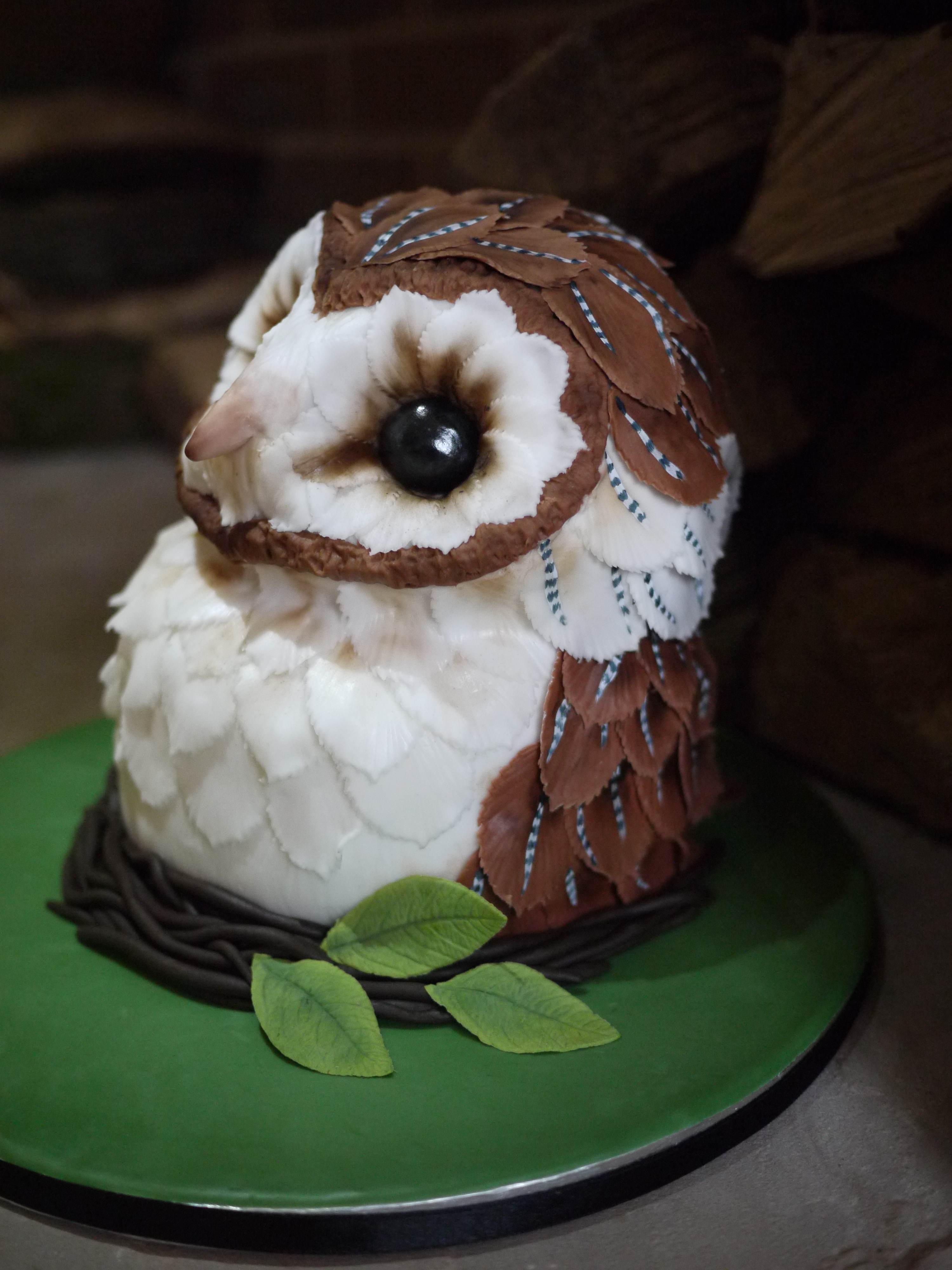 Barn Owl Birthday Cake