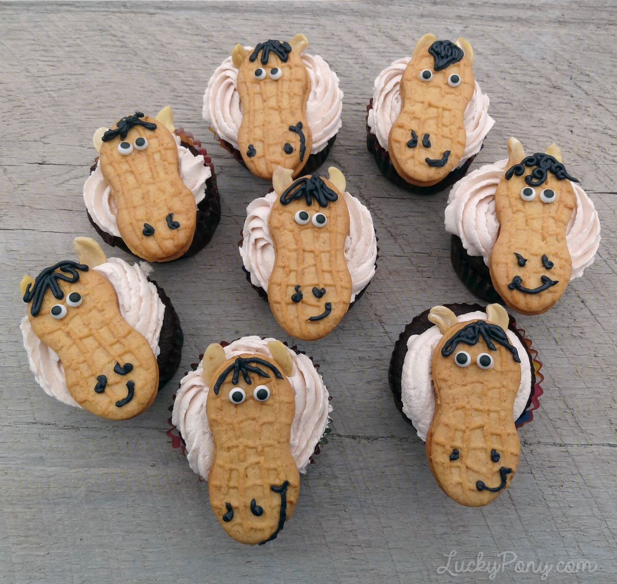 Horse Cupcake Party