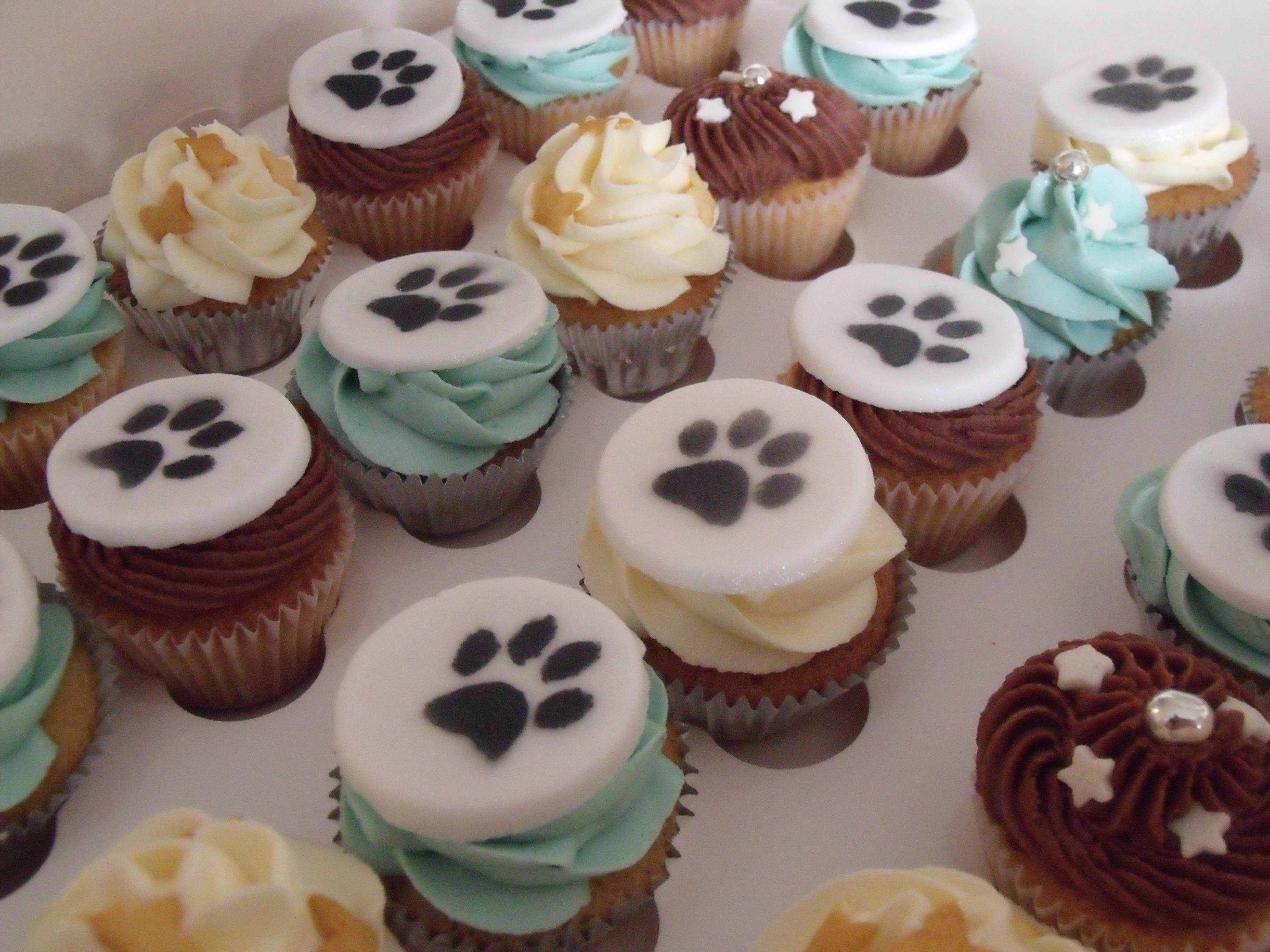 Animal Themed Cupcakes