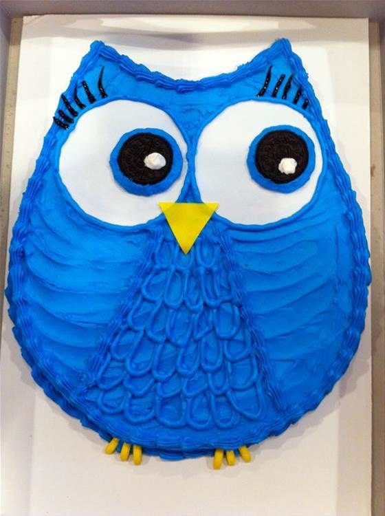 Homemade Owl Birthday Cake