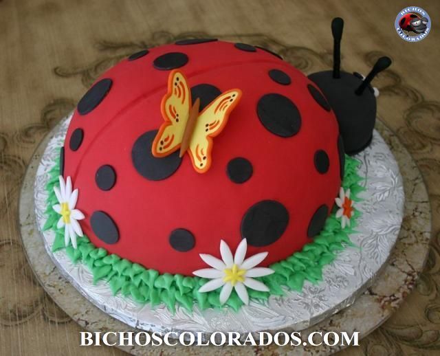 7 Photos of Kroger's Birthday Ladybug Cakes