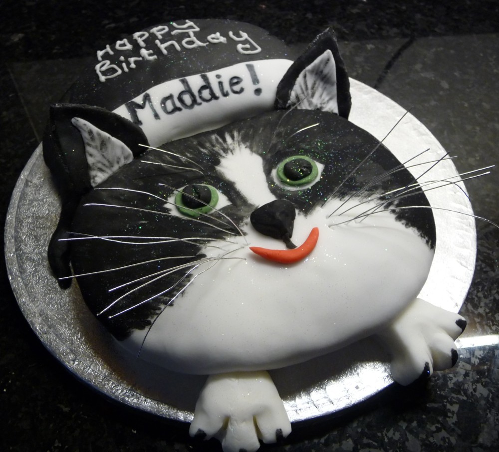 Cat Birthday Cake