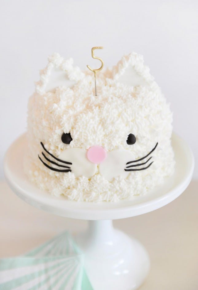 Cat Themed Birthday Party Cake