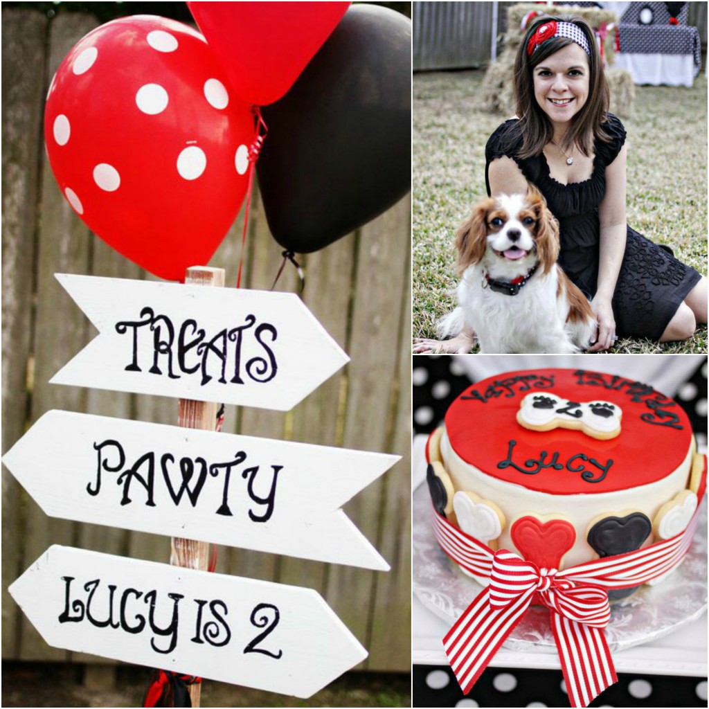 King Charles Cavalier Birthday Party