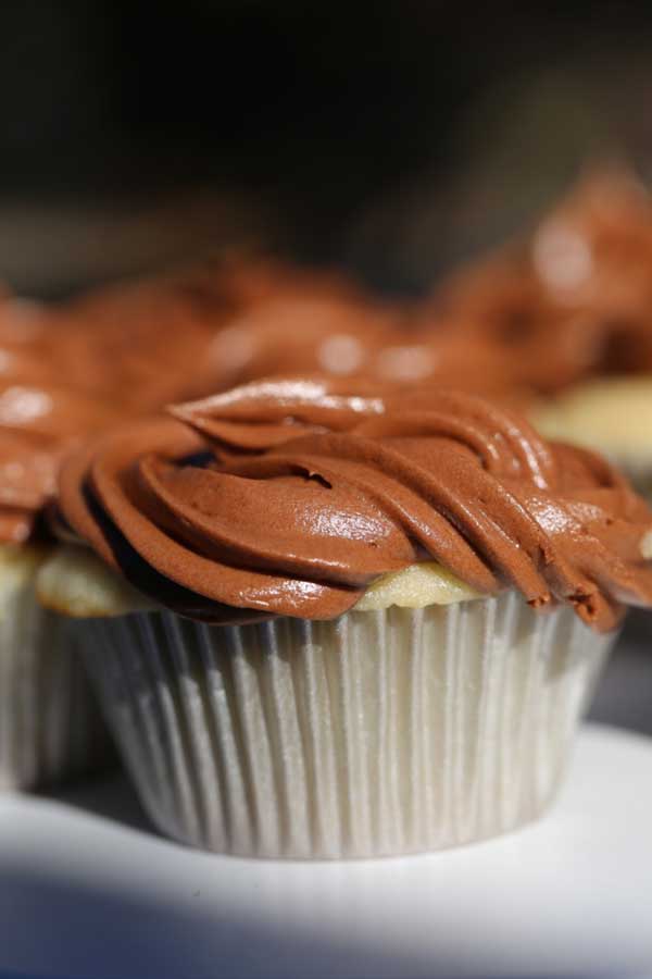 Best Vanilla Cupcakes with Chocolate Frosting