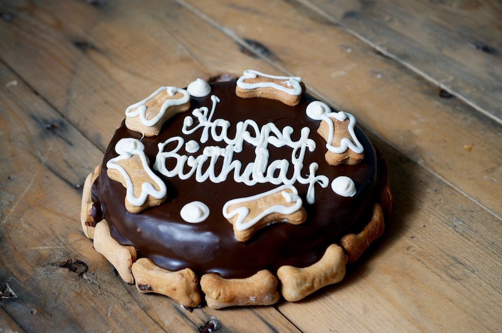 Dog Cake for Birthday Party