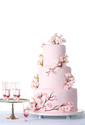 Pink Cherry Blossom Wedding Cake