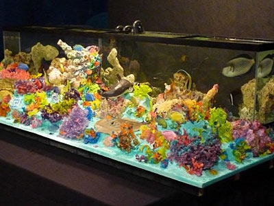 Cake Boss Fish Tank