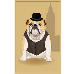 English Bulldog Vector