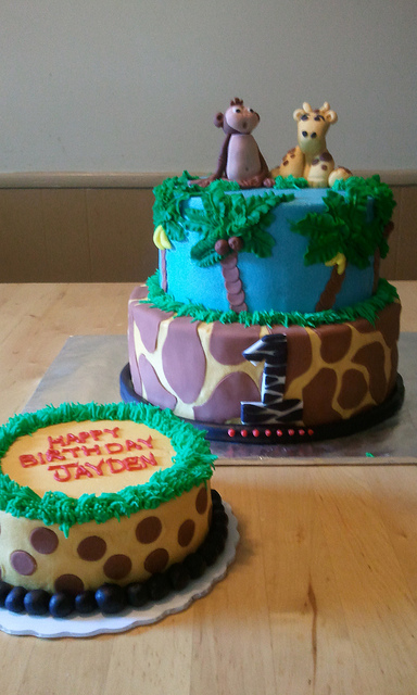 6 Photos of Safari Smash Cakes First