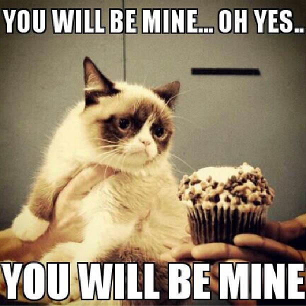 Grumpy Cat Meme