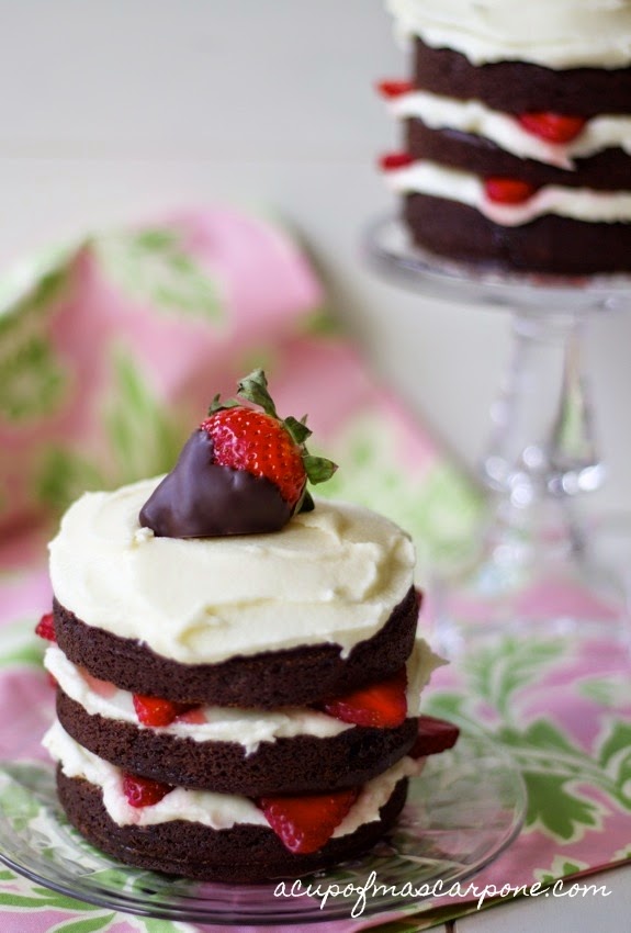 Mini Chocolate Strawberry Cake