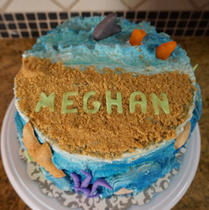 Ocean Cake