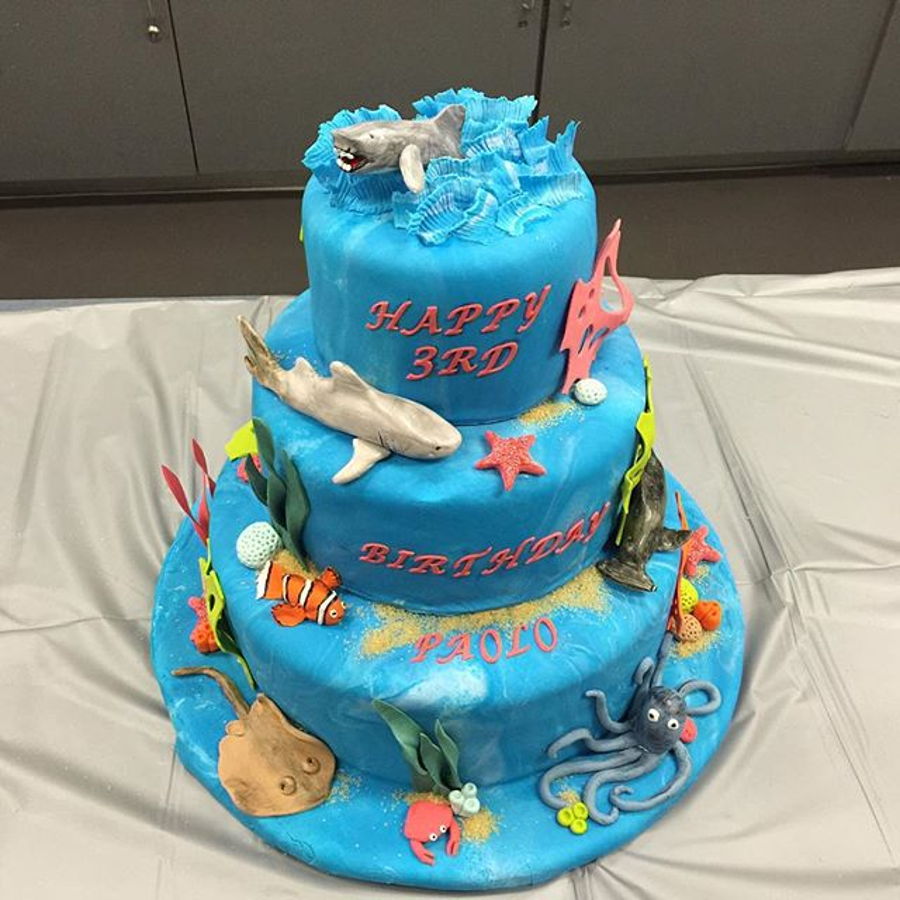 Shark Ocean Birthday Cake