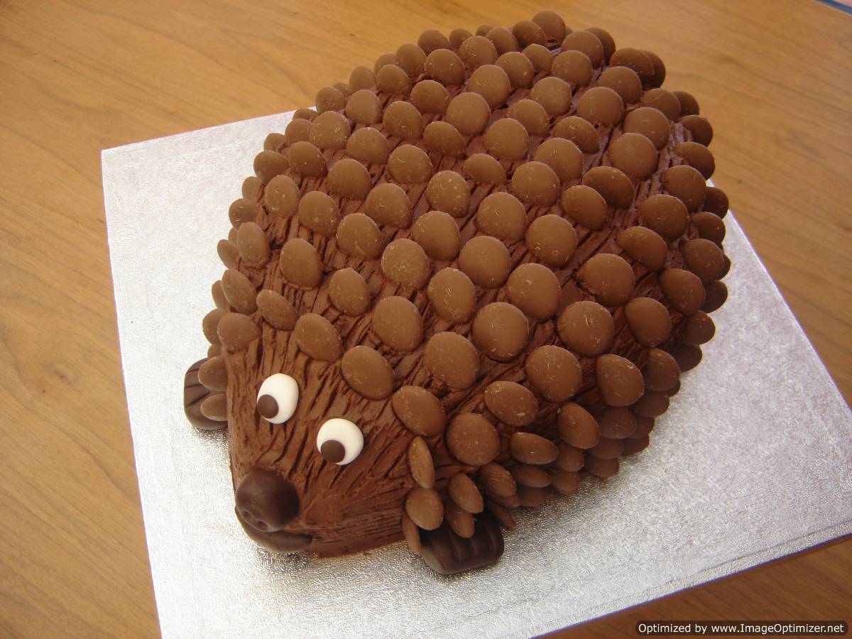 Best Cake in the World the Hedgehog